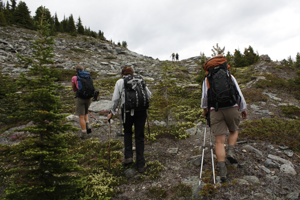 Swift Mountain Trail (Summit) – Valemount Trails